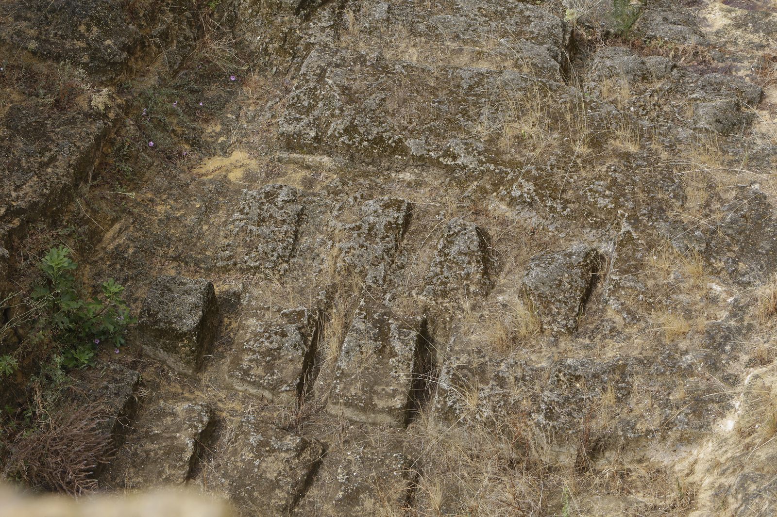 Castillo de Bonsor. Mairena del Alcor