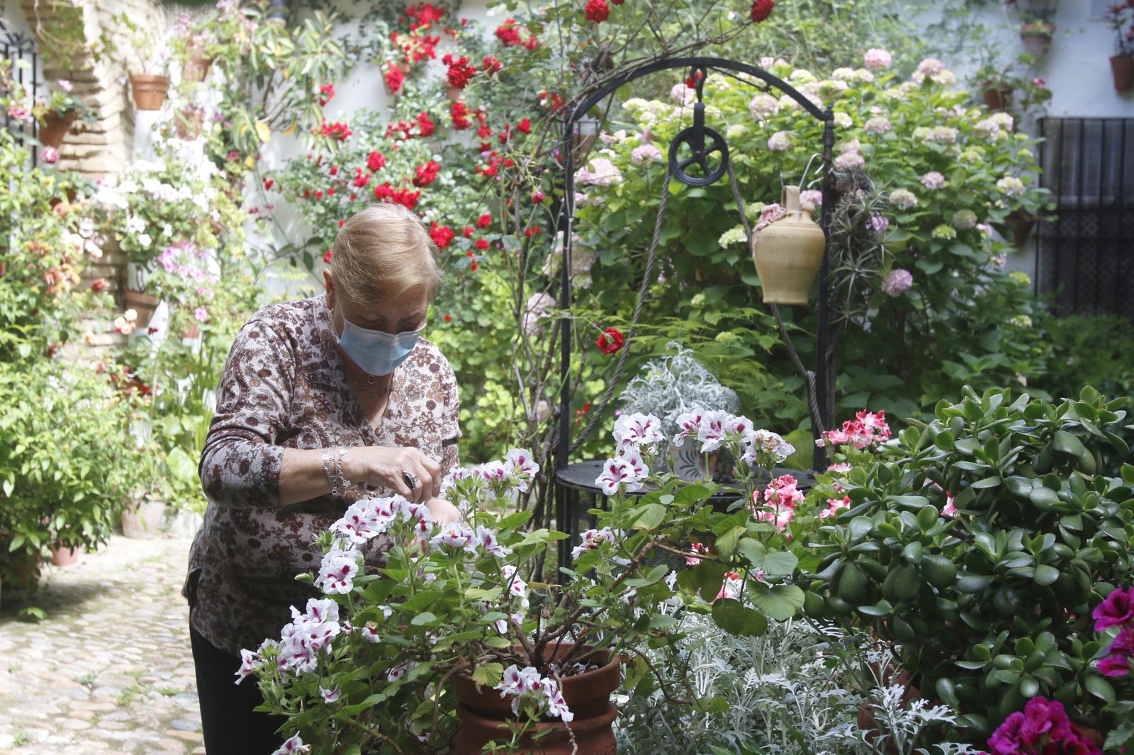 Los Patios de Córdoba en tiempos de crisis: Parras, 6