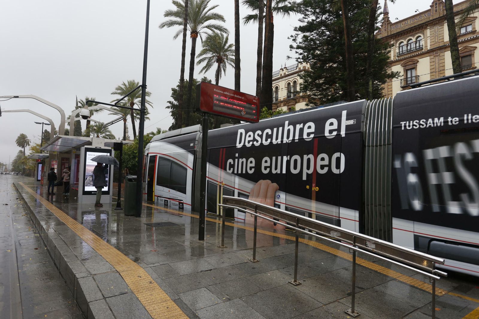 Las imágenes del temporal en Sevilla