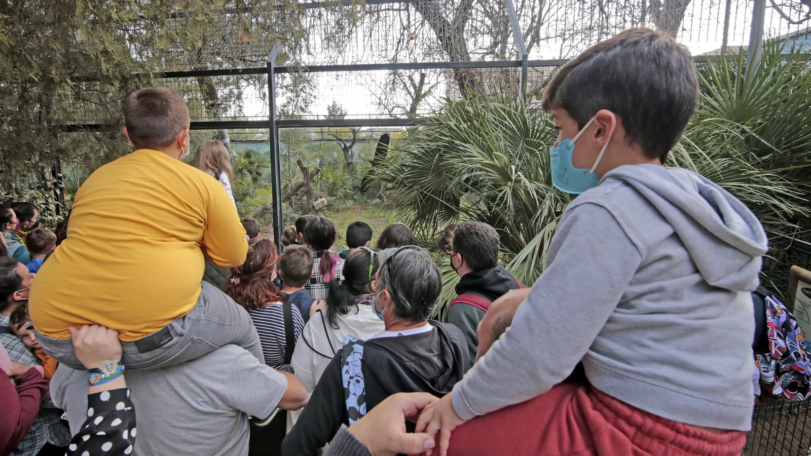 69 aniversario del Zoo de Jerez