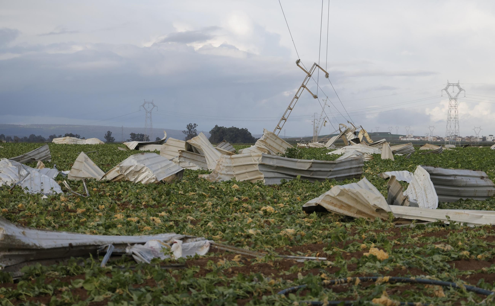 Las fotos del paso de un tornado por Alcalá del Río