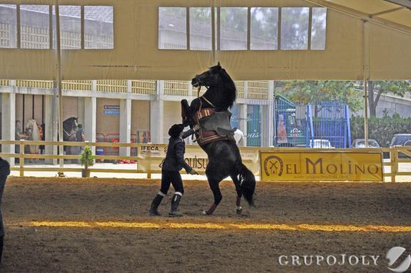 Los mejores ejemplares se exhiben estos días en Ifeca

Foto: Manu Garcia
