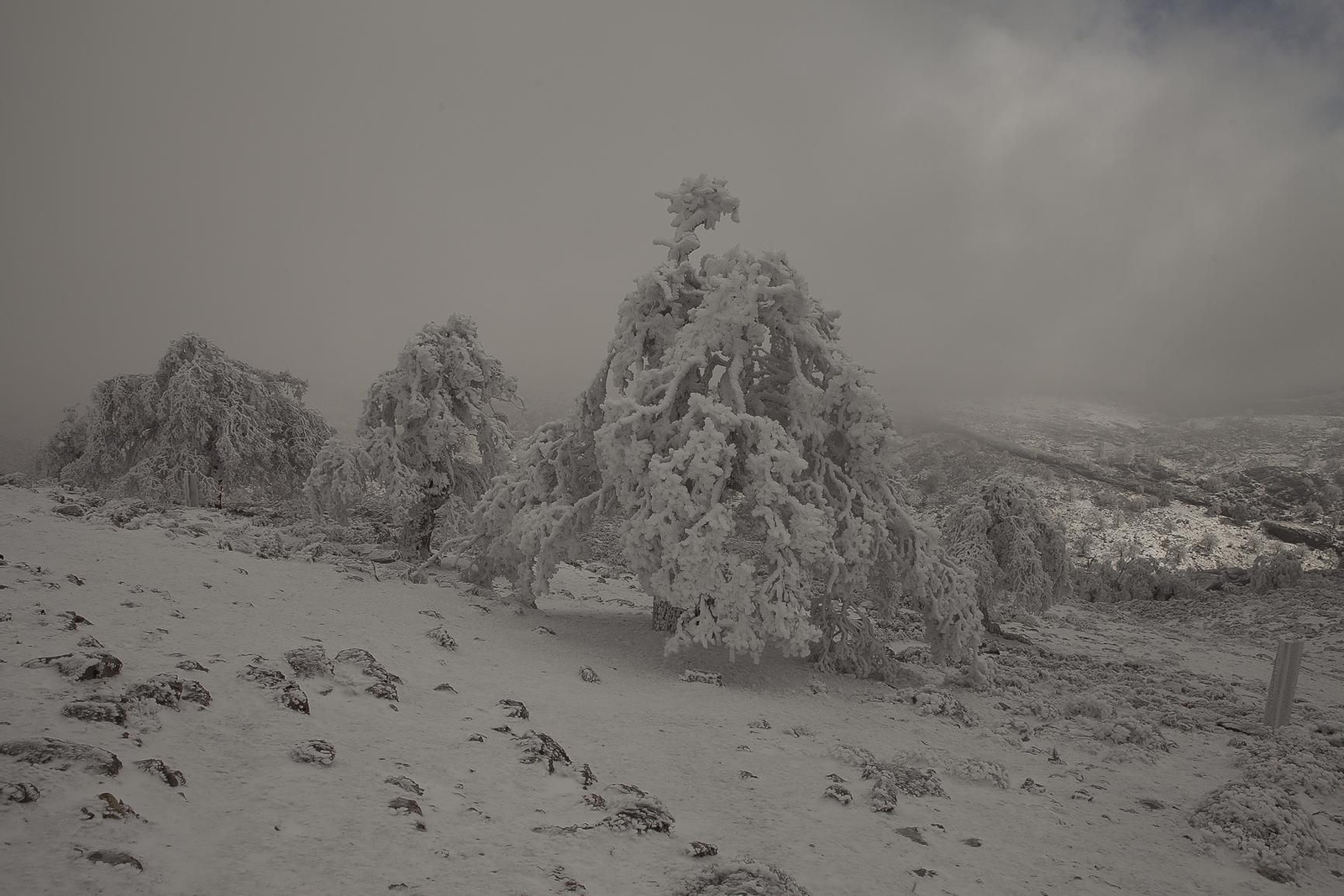 La Sierra de las Nieves, en fotos