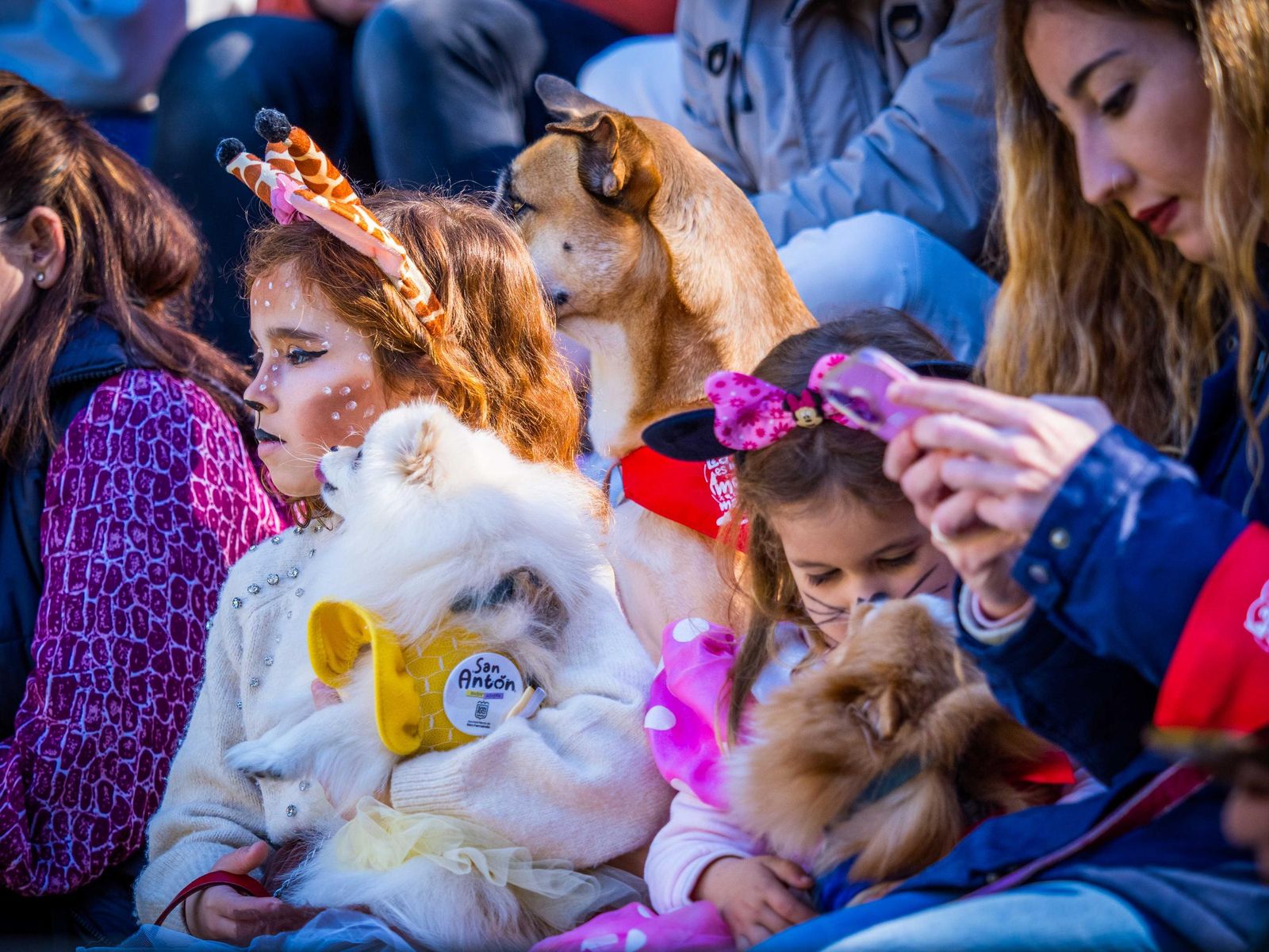 Las imágenes de San Antón 2025 en San Fernando