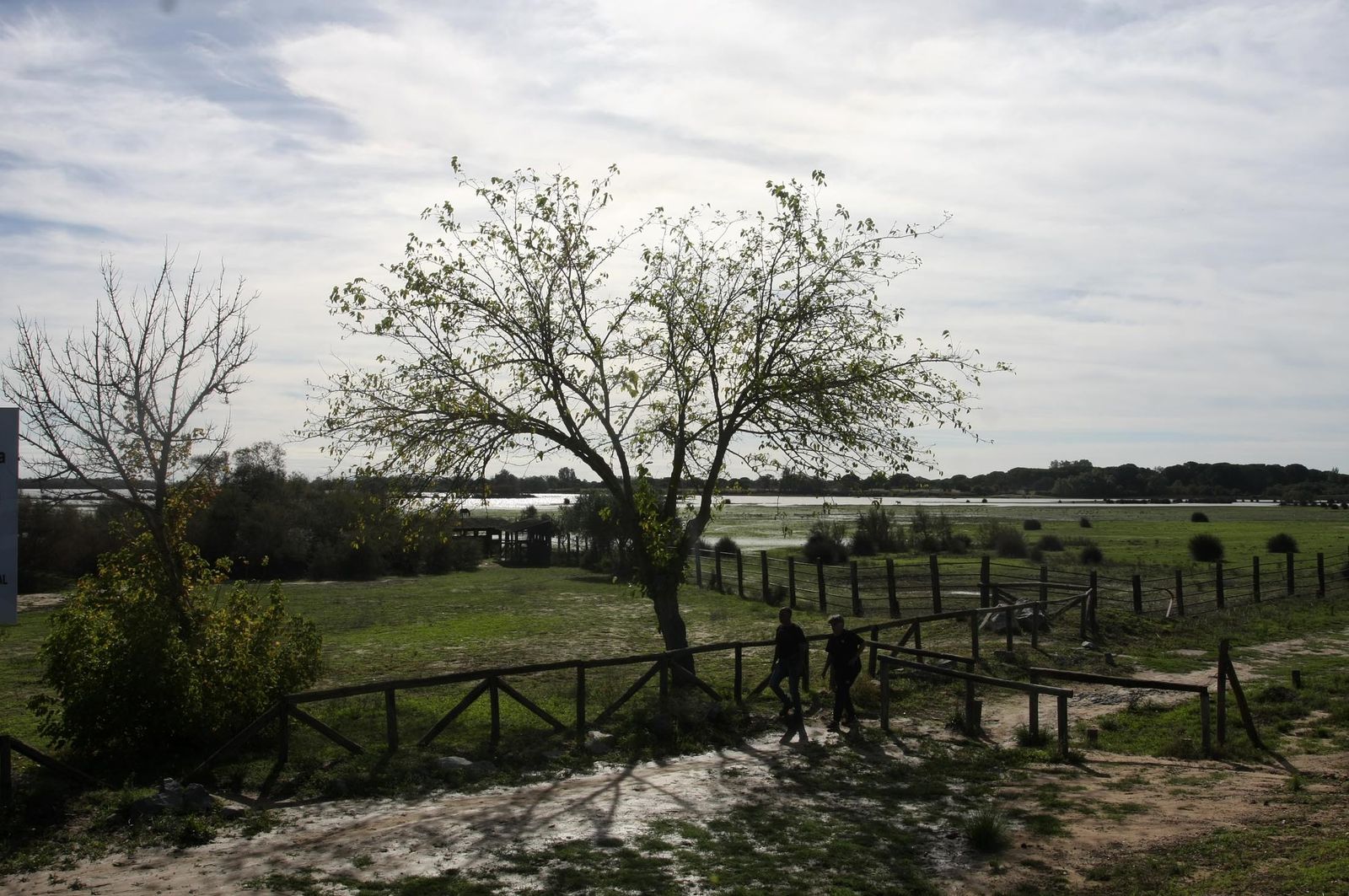 Imágenes de la marisma de El Rocío y de la laguna de El Portil tras las últimas lluvias