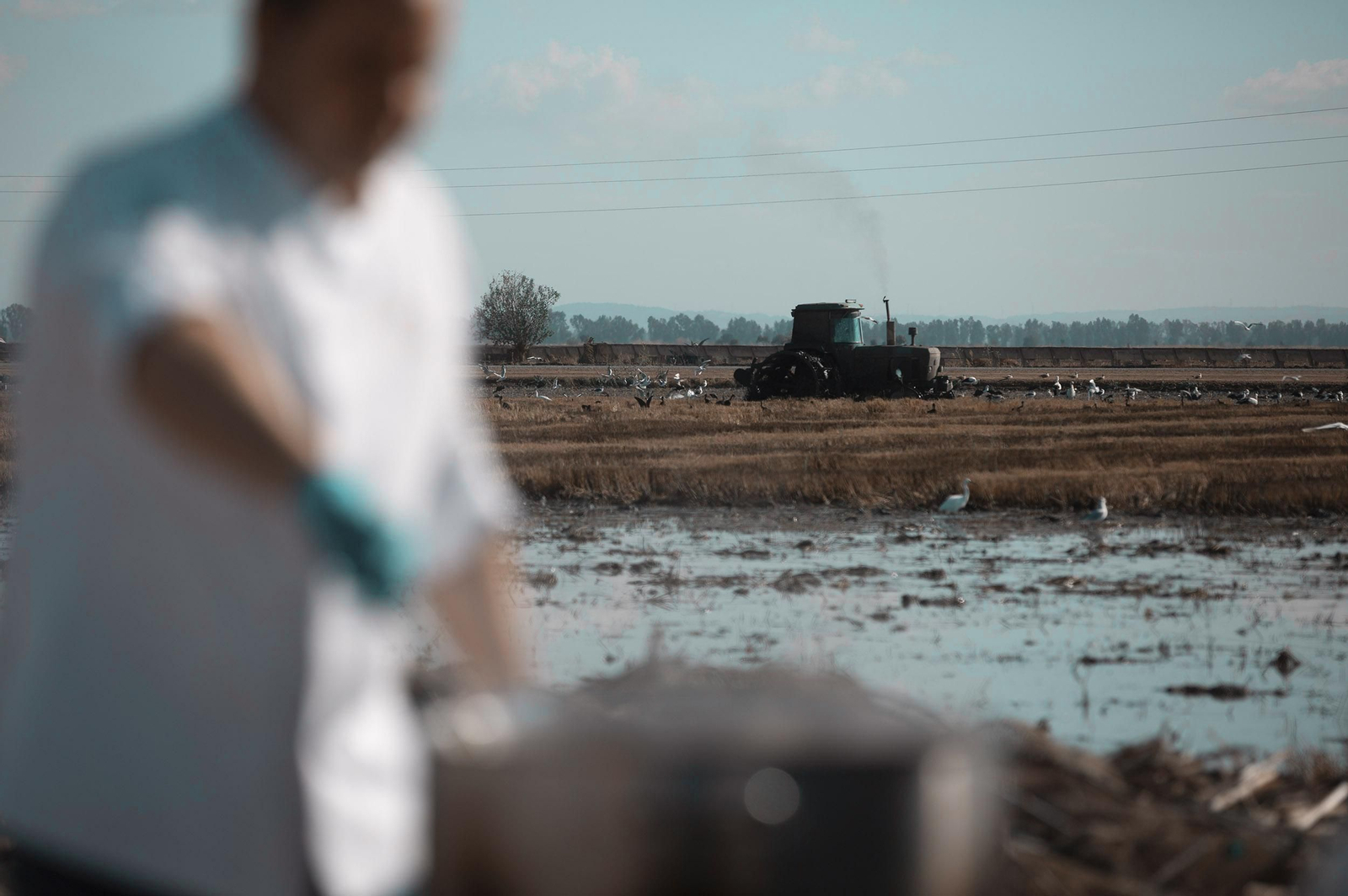 La ruta del arroz, en imágenes