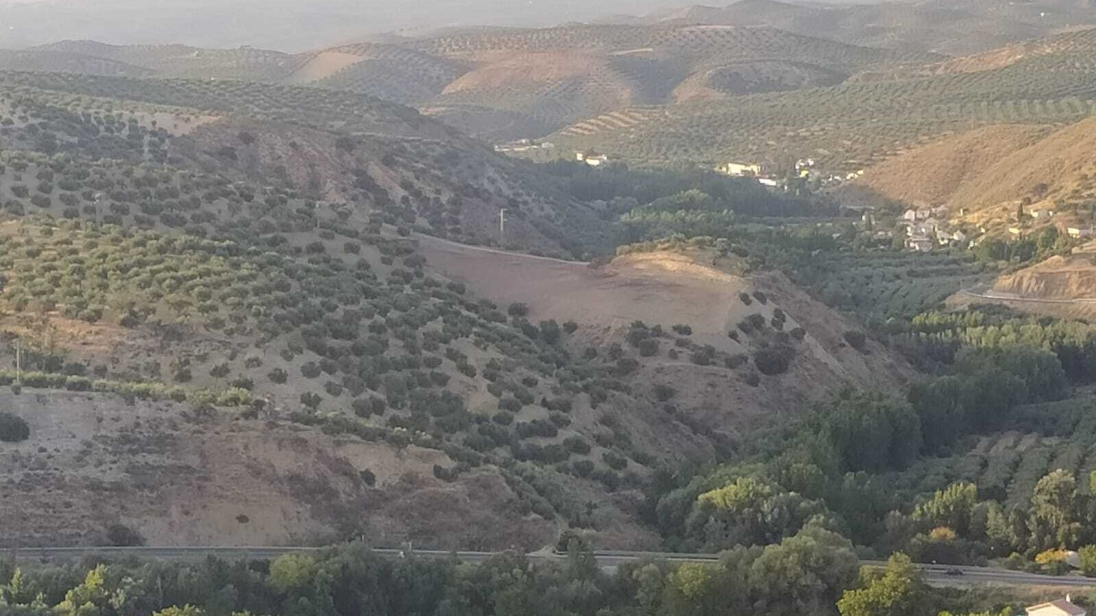 Parte del paisaje olivar de Almedinilla.