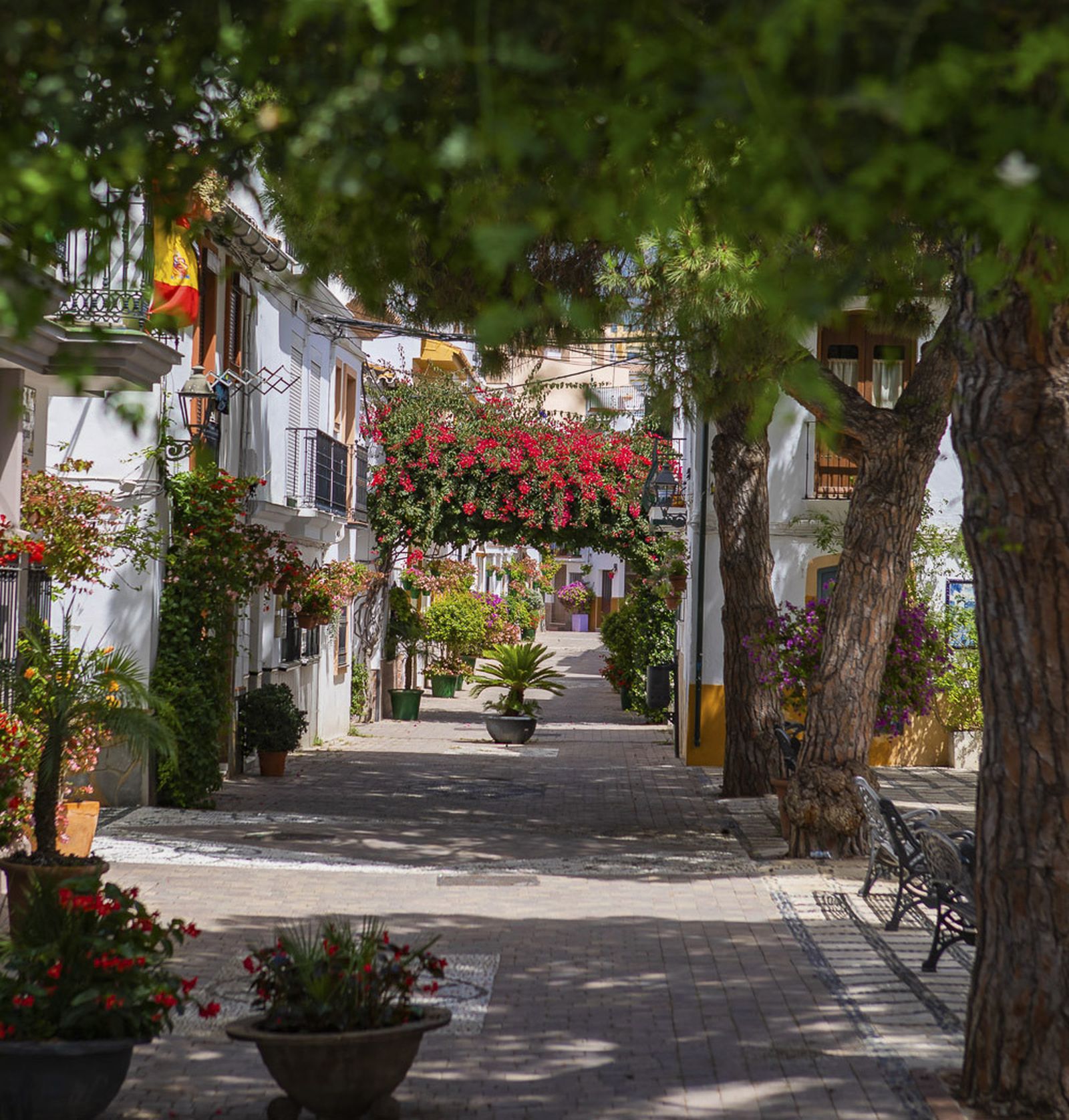 El proyecto ‘Estepona Jardín de la Costa del Sol’ ha actuado en más de 130 calles del municipio.