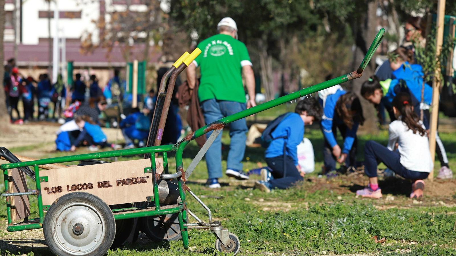 Las mejores fotos de la repoblación del Parque Princesa Sofía