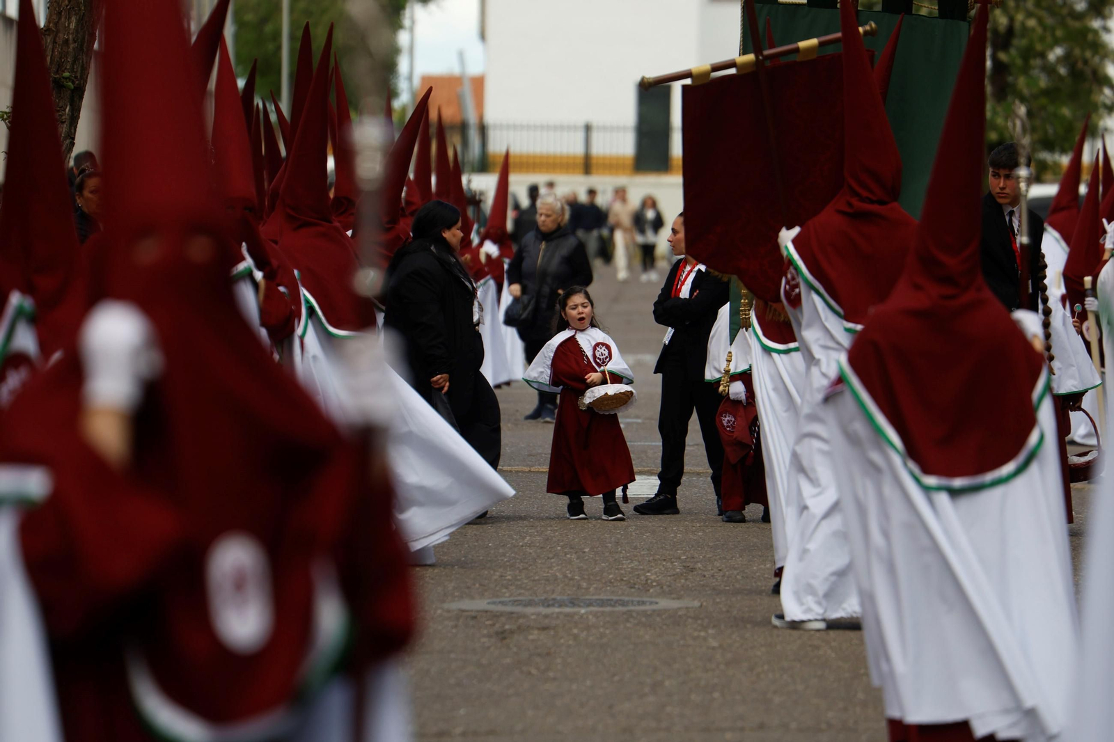 Las imagenes de la hermandad de la Piedad el Miércoles Santo en Córdoba Las imagenes de la hermandad de la Piedad el Miércoles Santo en Córdoba
