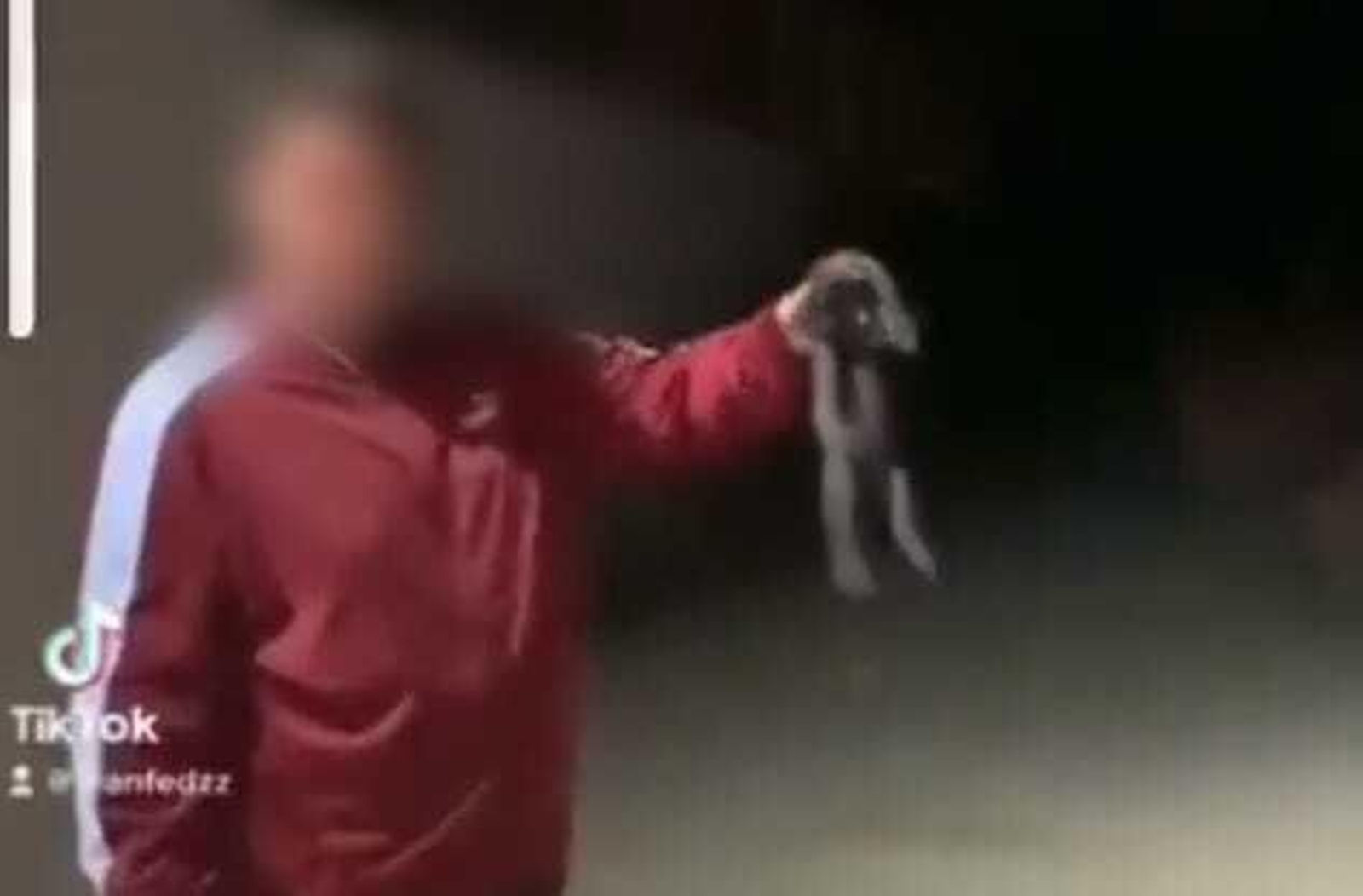 Un momento del vídeo que se hizo viral en redes.