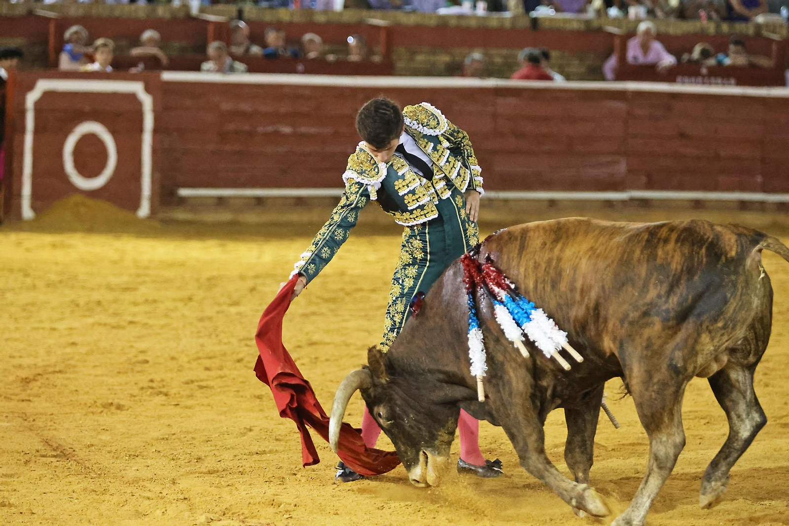 Toros La Merced 2024 Novillada con picadores(