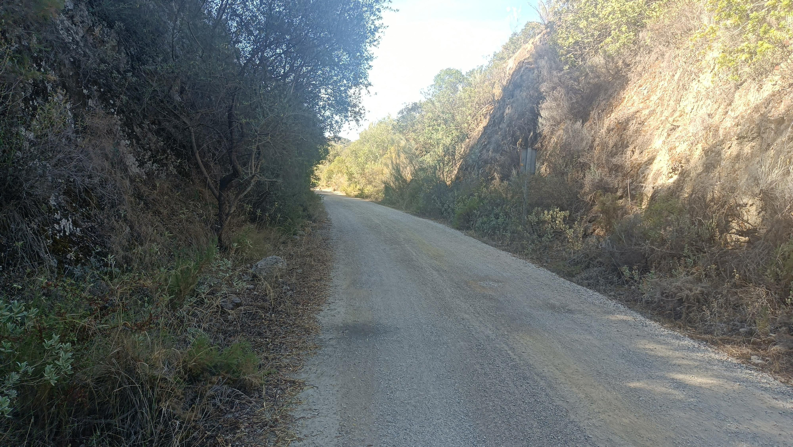 Retornamos por la vía hacia Coripe. Esta vez no nos desviamos.