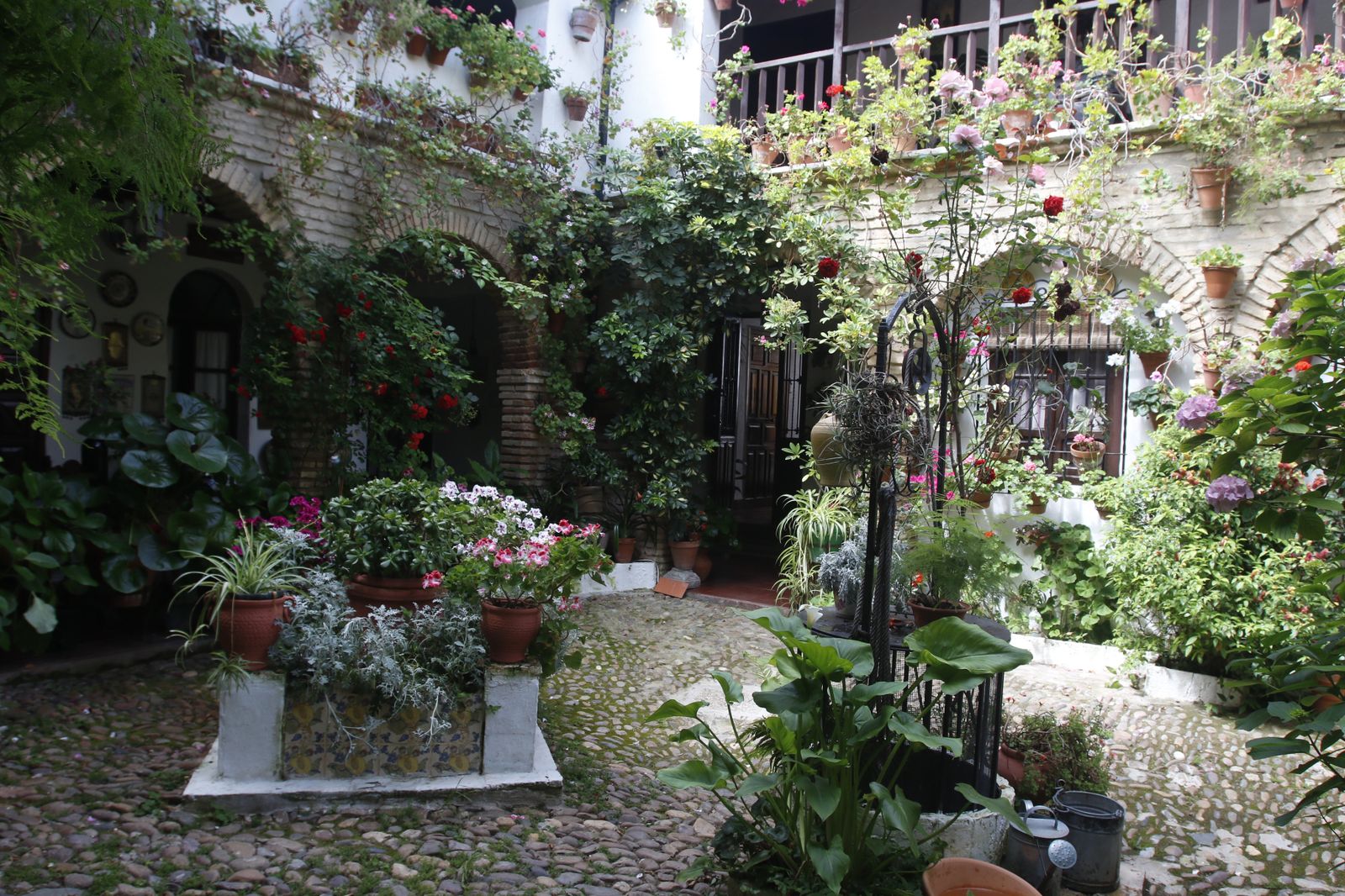 Los Patios de Córdoba en tiempos de crisis: Parras, 6