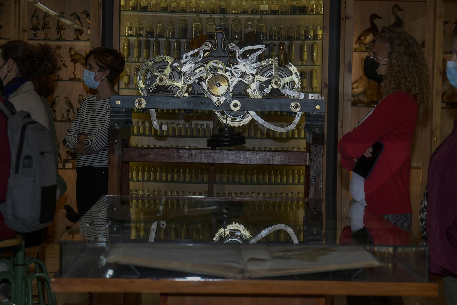 La inauguración del Museo de Ciencia del IES Padre Suárez de Granada, en imágenes