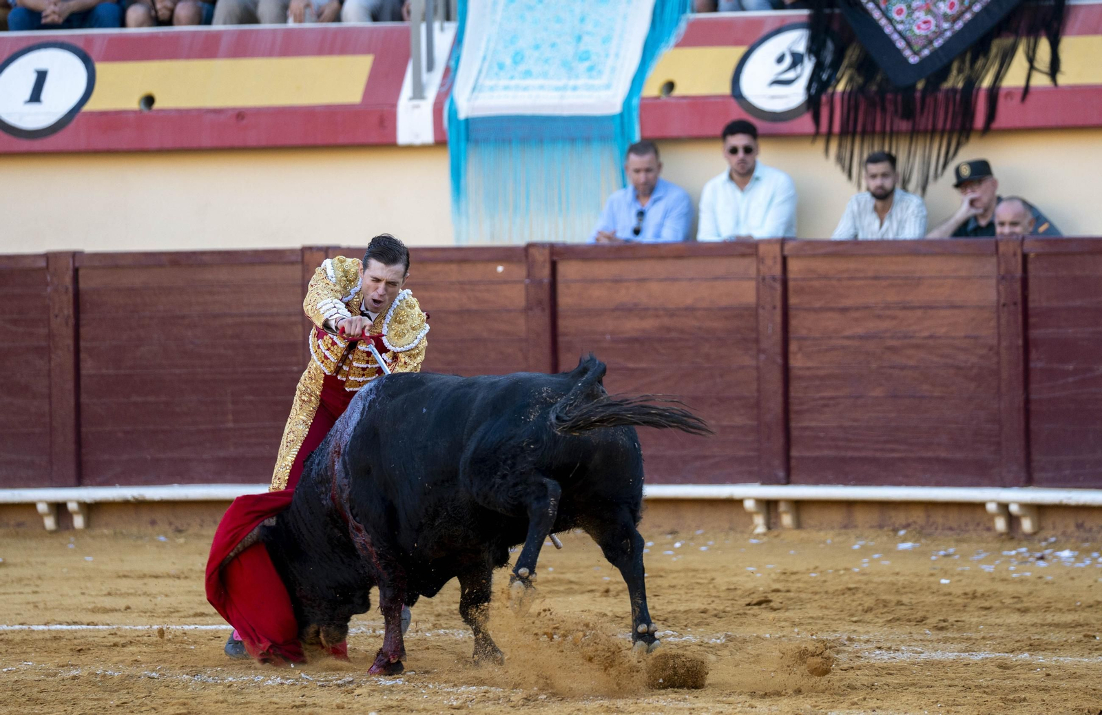 Las imágenes de los toros en Vera