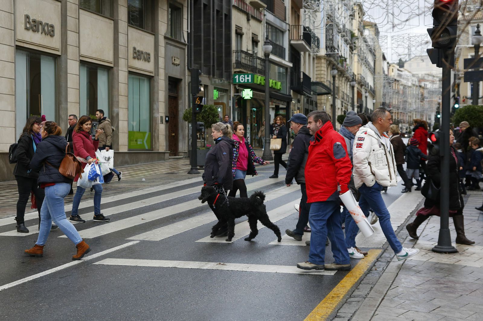 Gente paseando por las calles de Granada