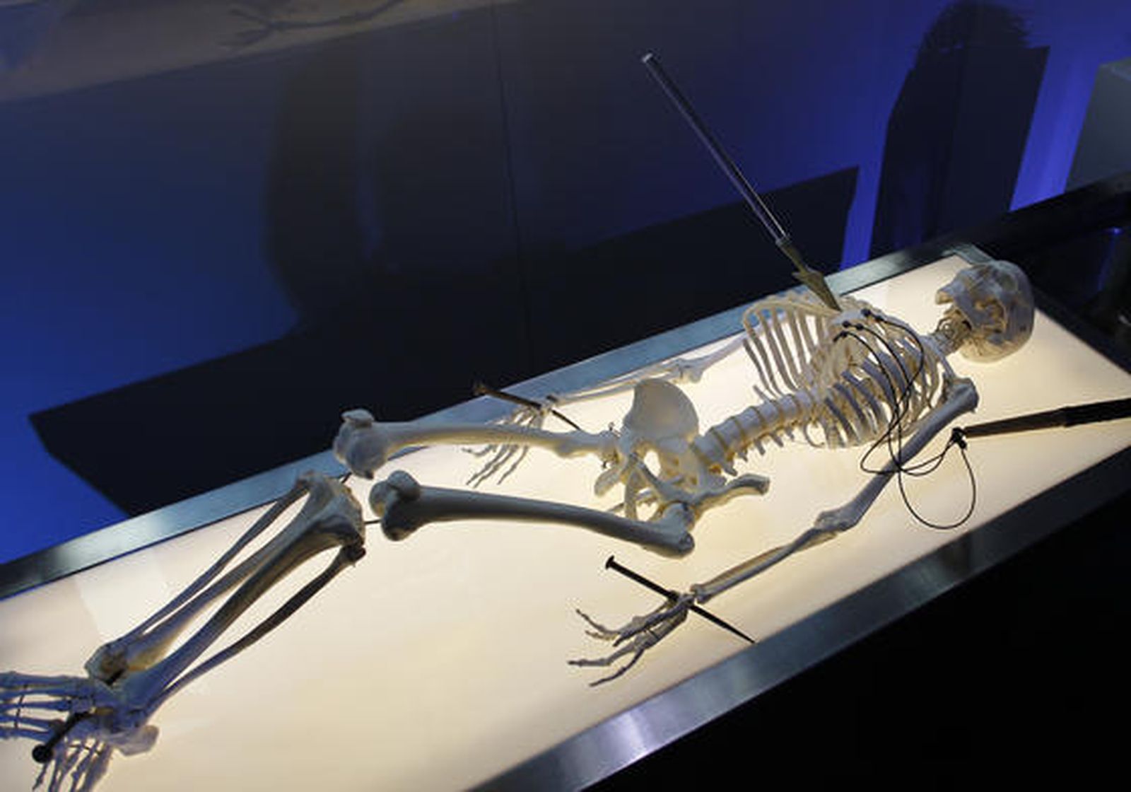 La exposición de la Sábana Santa podrá verse en la Catedral de Málaga hasta junio

Foto: Sergio Camacho