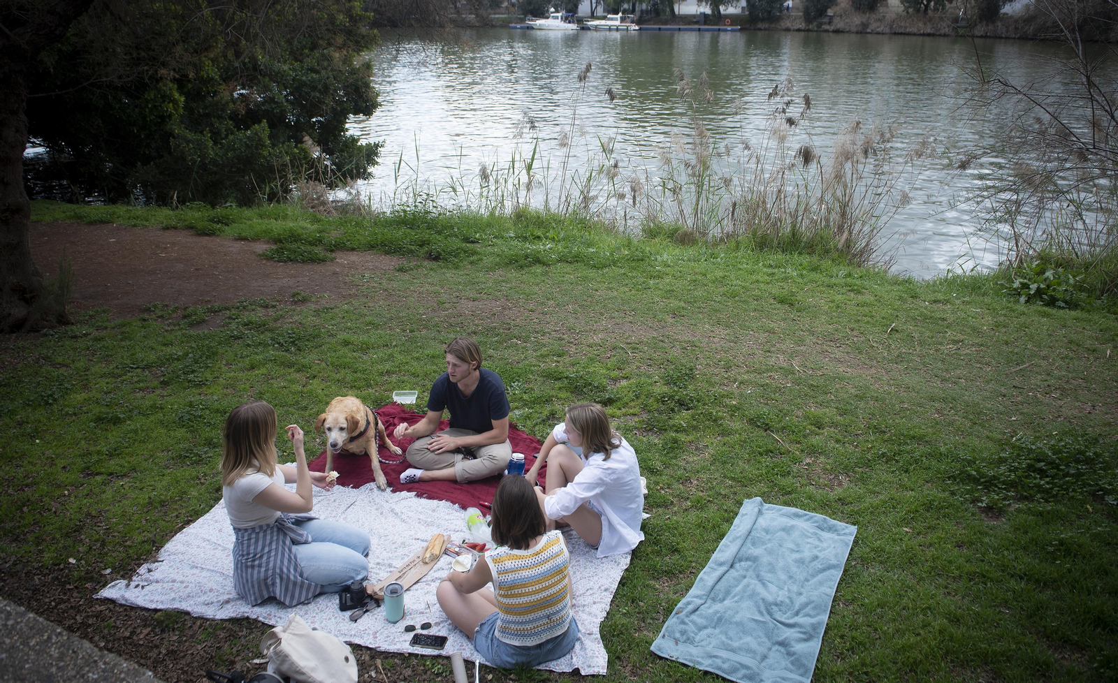 Imágenes de un fin de semana casi primaveral en Sevilla