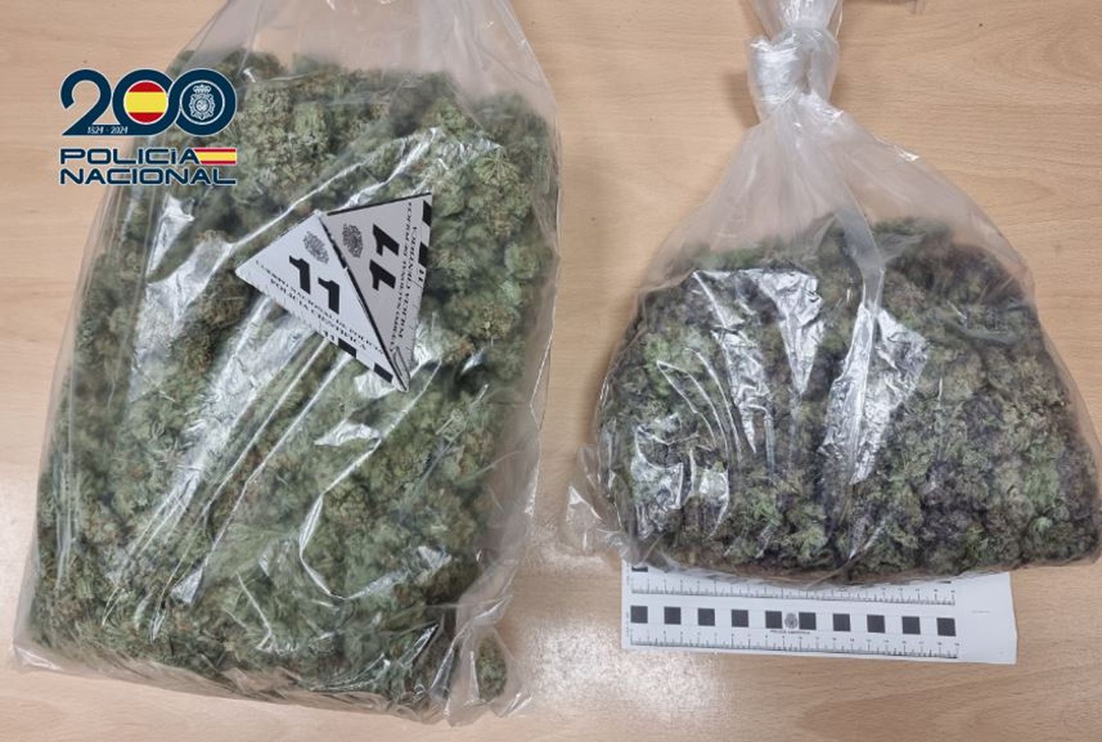 Cogollos de marihuana intervenidos por agentes de la Policía Nacional.
