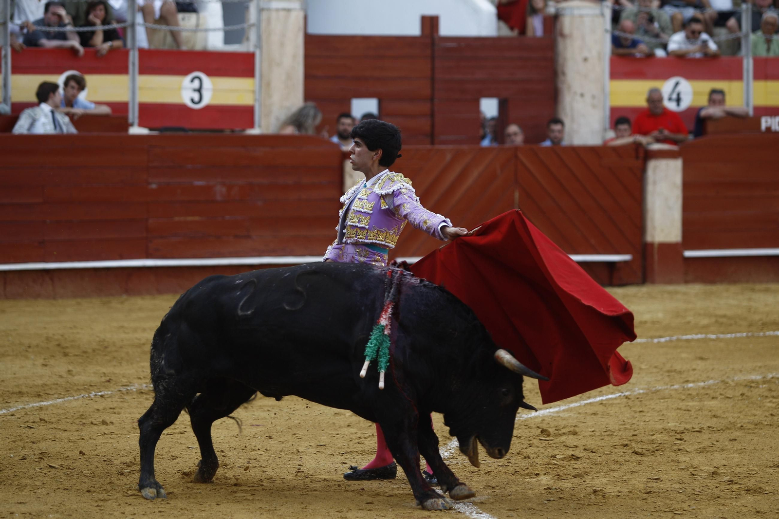 Imágenes de la novillada de la Feria de Almería 2025