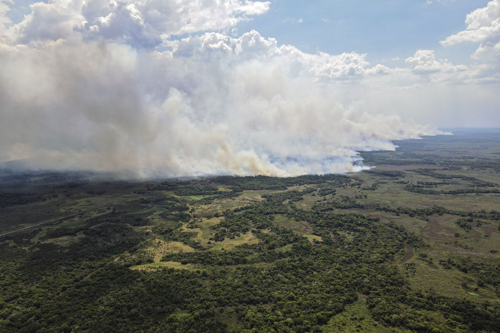 Las llamas convierten en una tumba al aire libre El Pantanal en Brasil