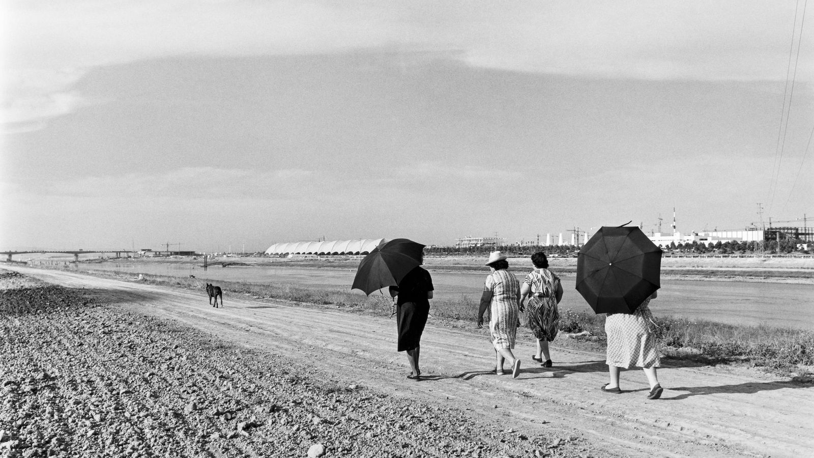 Corta de la Cartuja, margen derecha, 1991. De 'Sevilla x 15'.