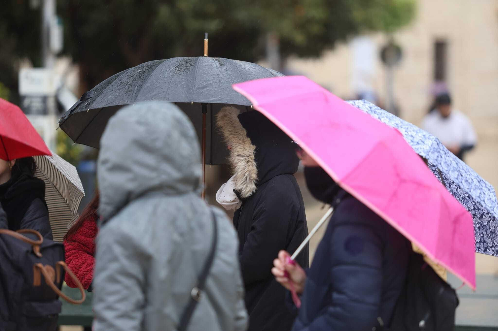Paraguas ayer en Málaga capital.
