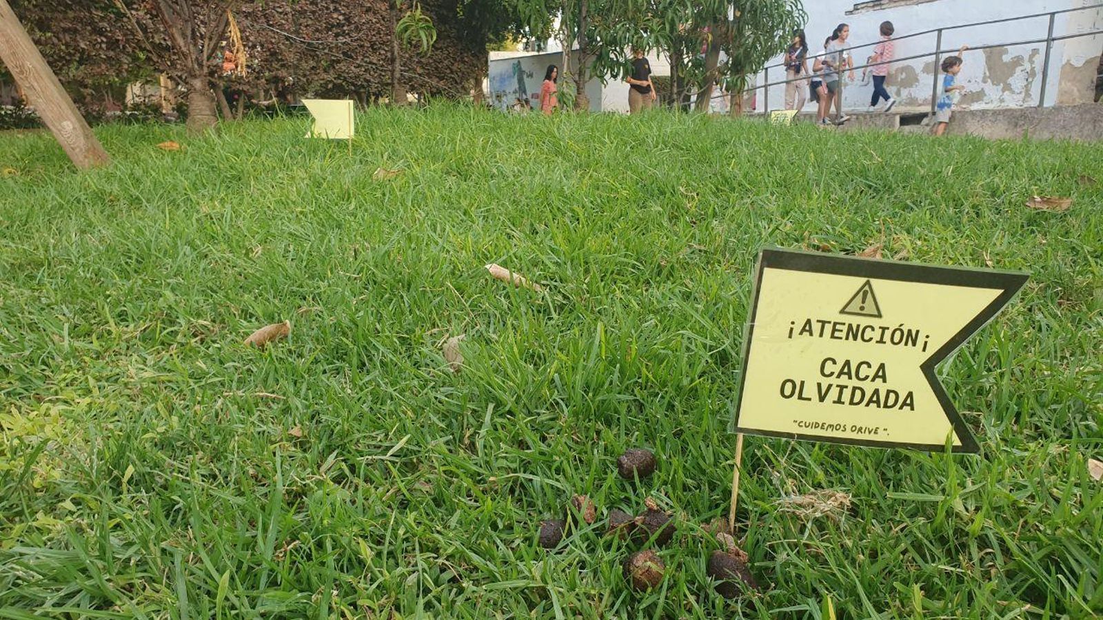 Carteles colocados por los niños advirtiendo de las cacas de perros.