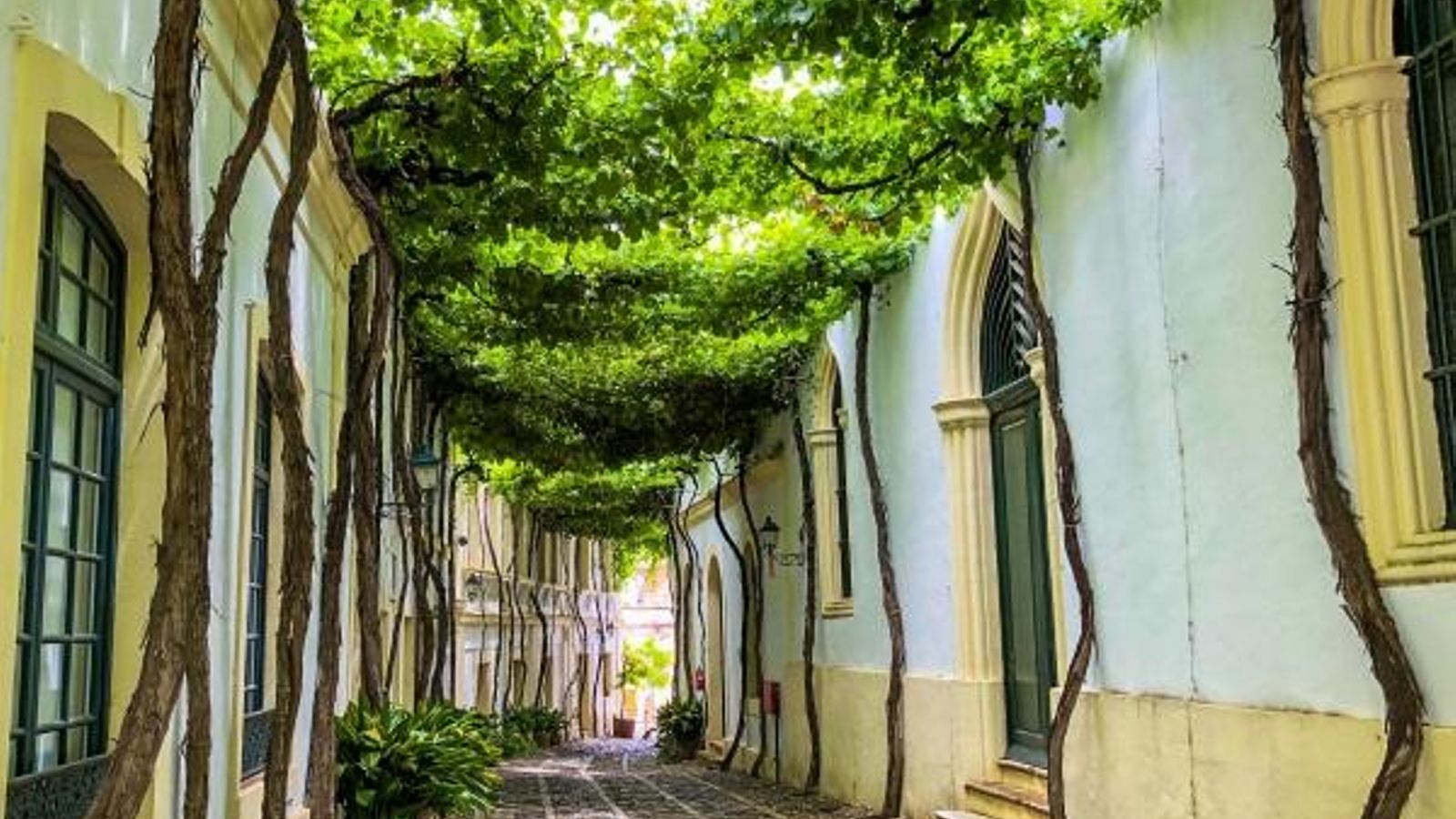Calle de los Ciegos en Jerez de la Frontera