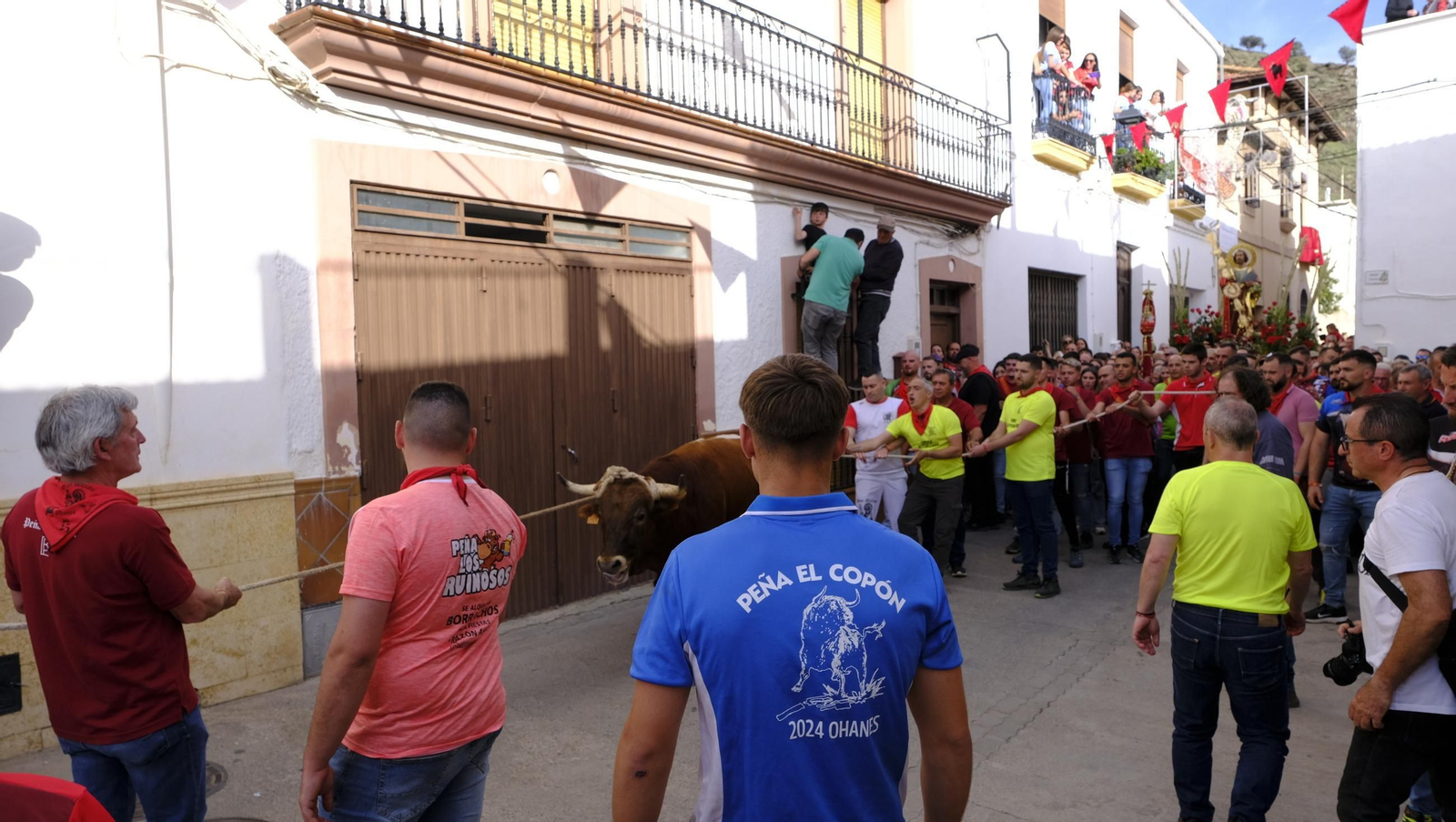 Los toros ensogados de Ohanes, en imágenes