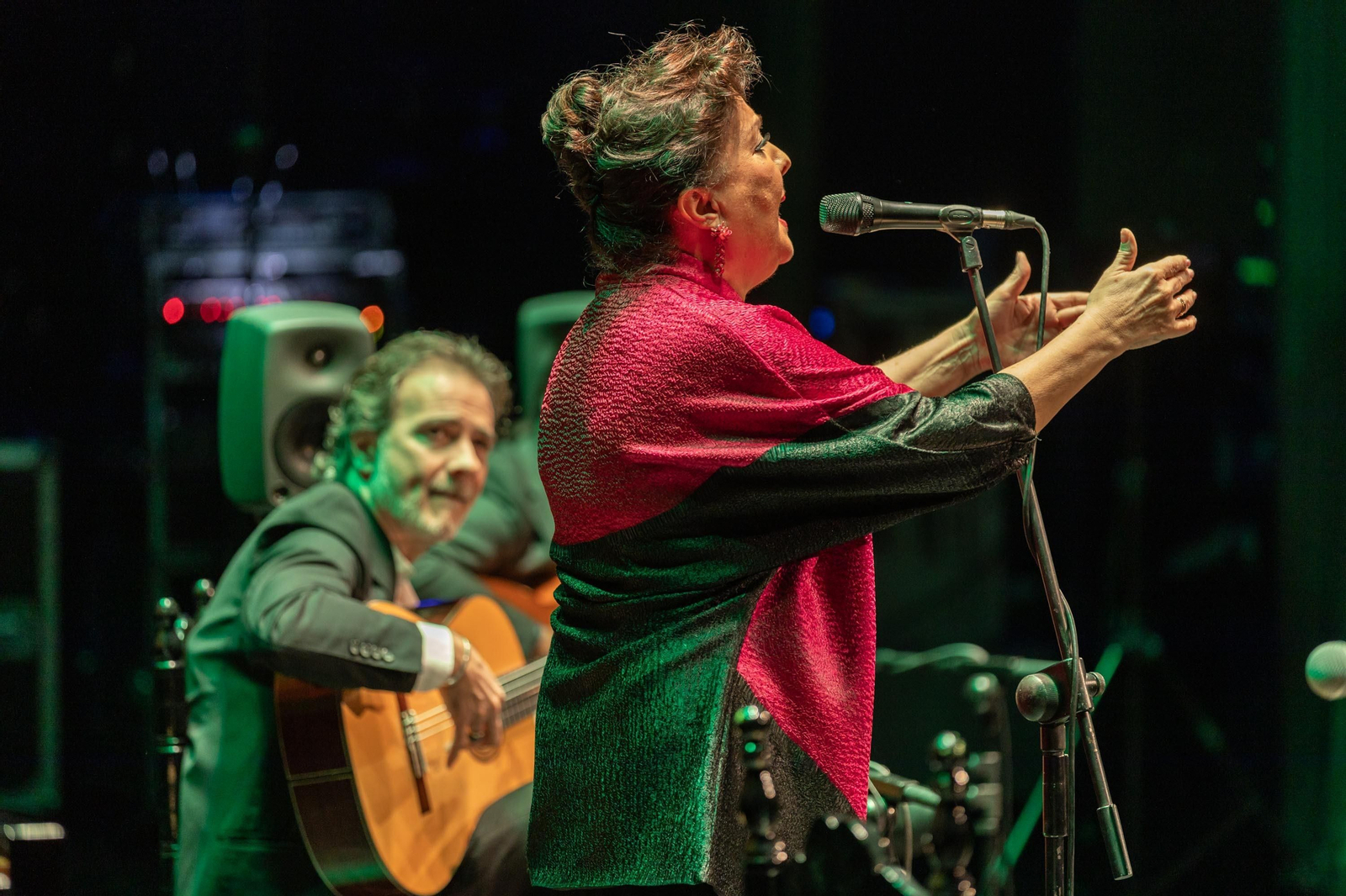 Concierto de Carmen Linares en su ciudad.