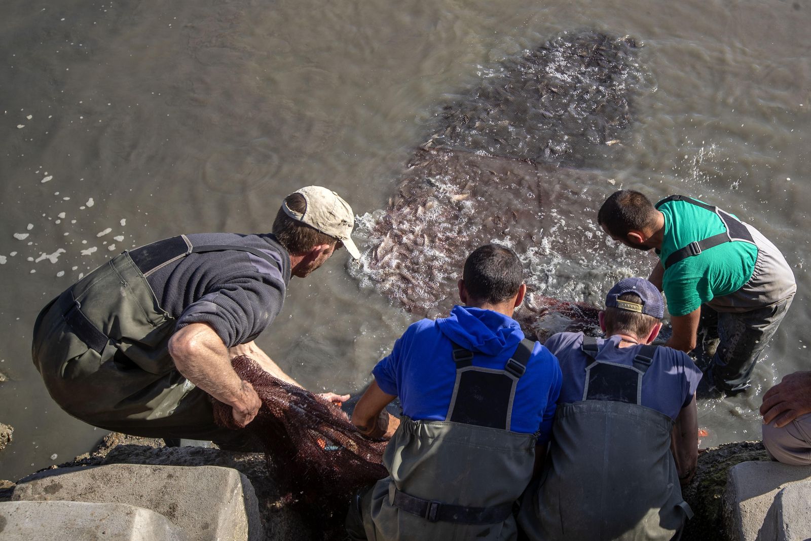 El despesque de las Jornadas del Estero, en imágenes