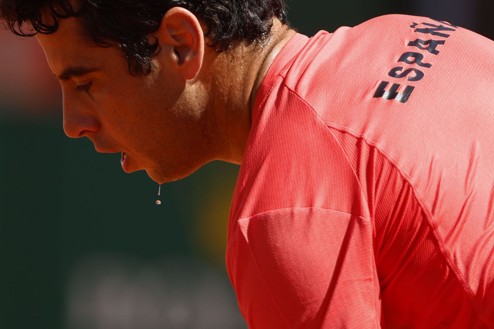 Jaume Munar pierde con Elmer Moller en la Copa Davis en Marbella