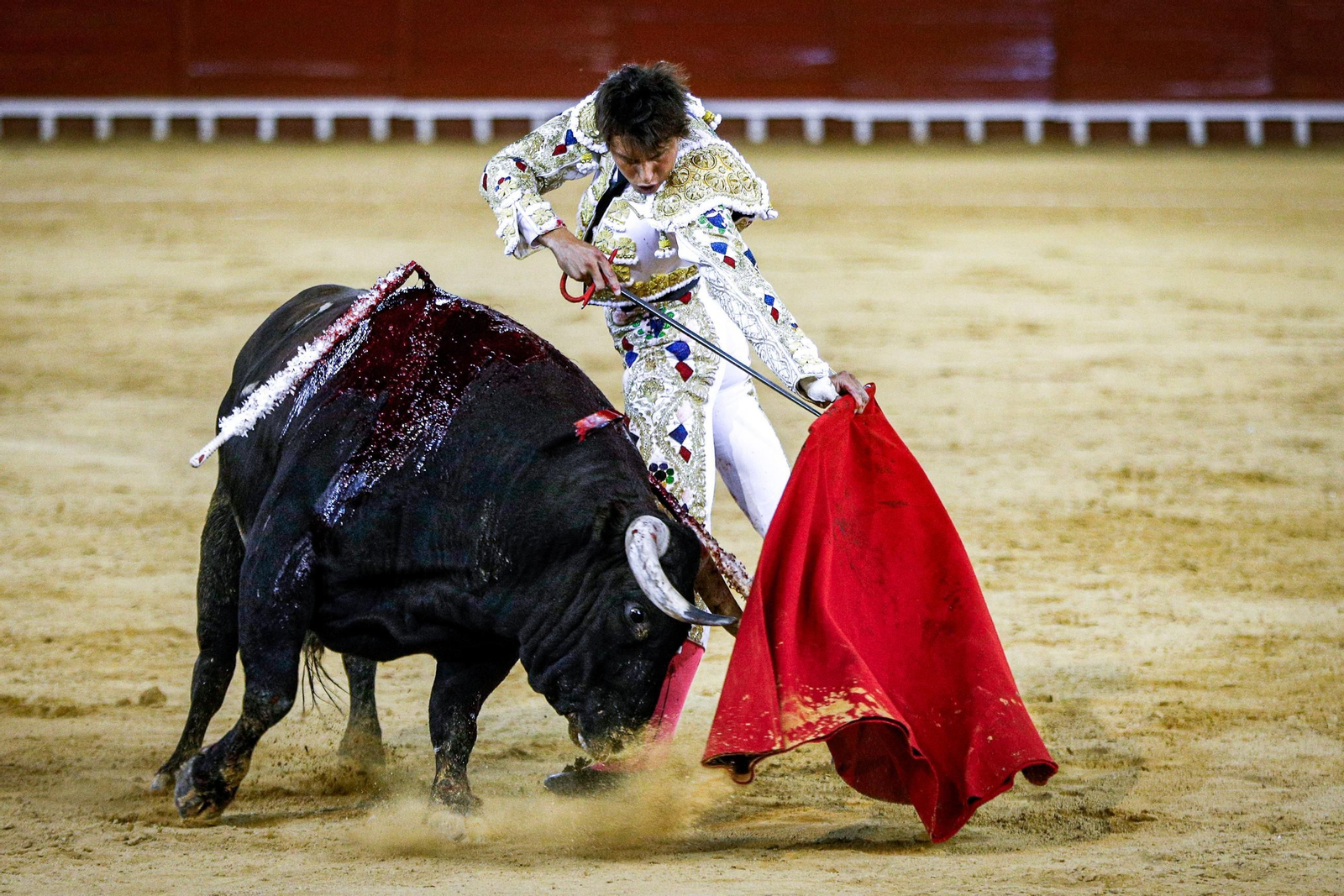 Imágenes de la corrida de toros en El Puerto: Manzanares, Roca Rey y Pablo Aguado