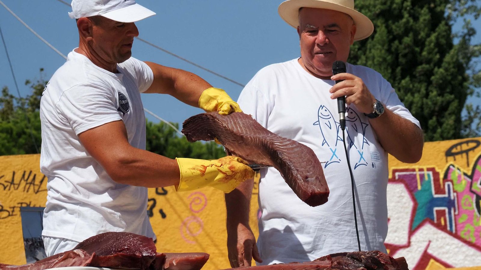 El ronqueador muestra la parte más preciada del atún, el lomo del que saldrá la mojama