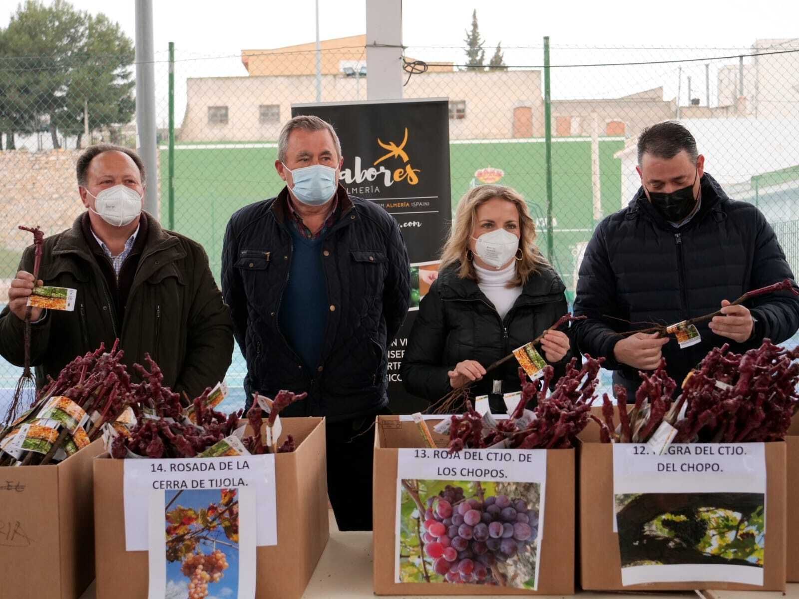 Memoria verde de Almería para conservar la tradición parralera