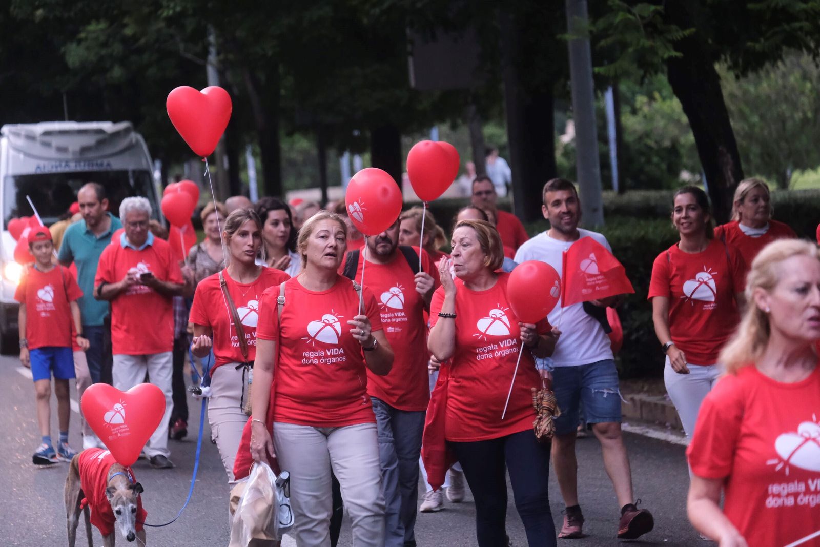 La marcha por la donación tiñe de rojo las calles de Córdoba, en imágenes