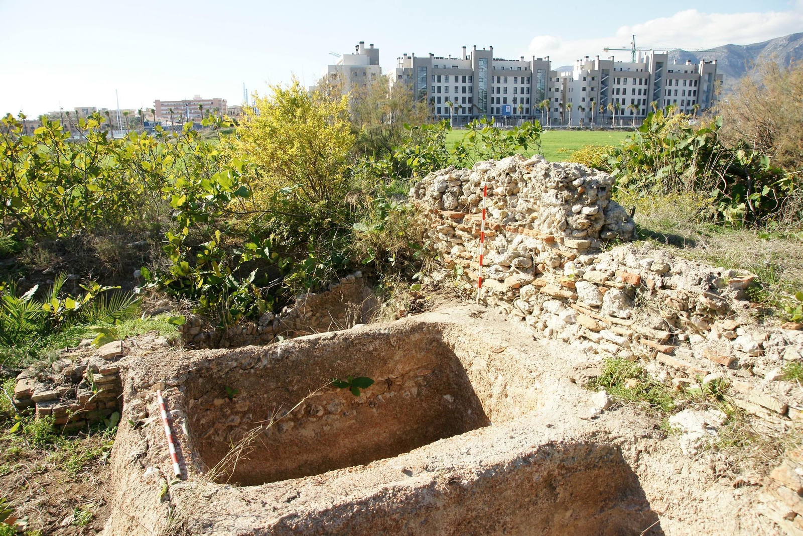 Restos arqueológicos de La Cizaña.