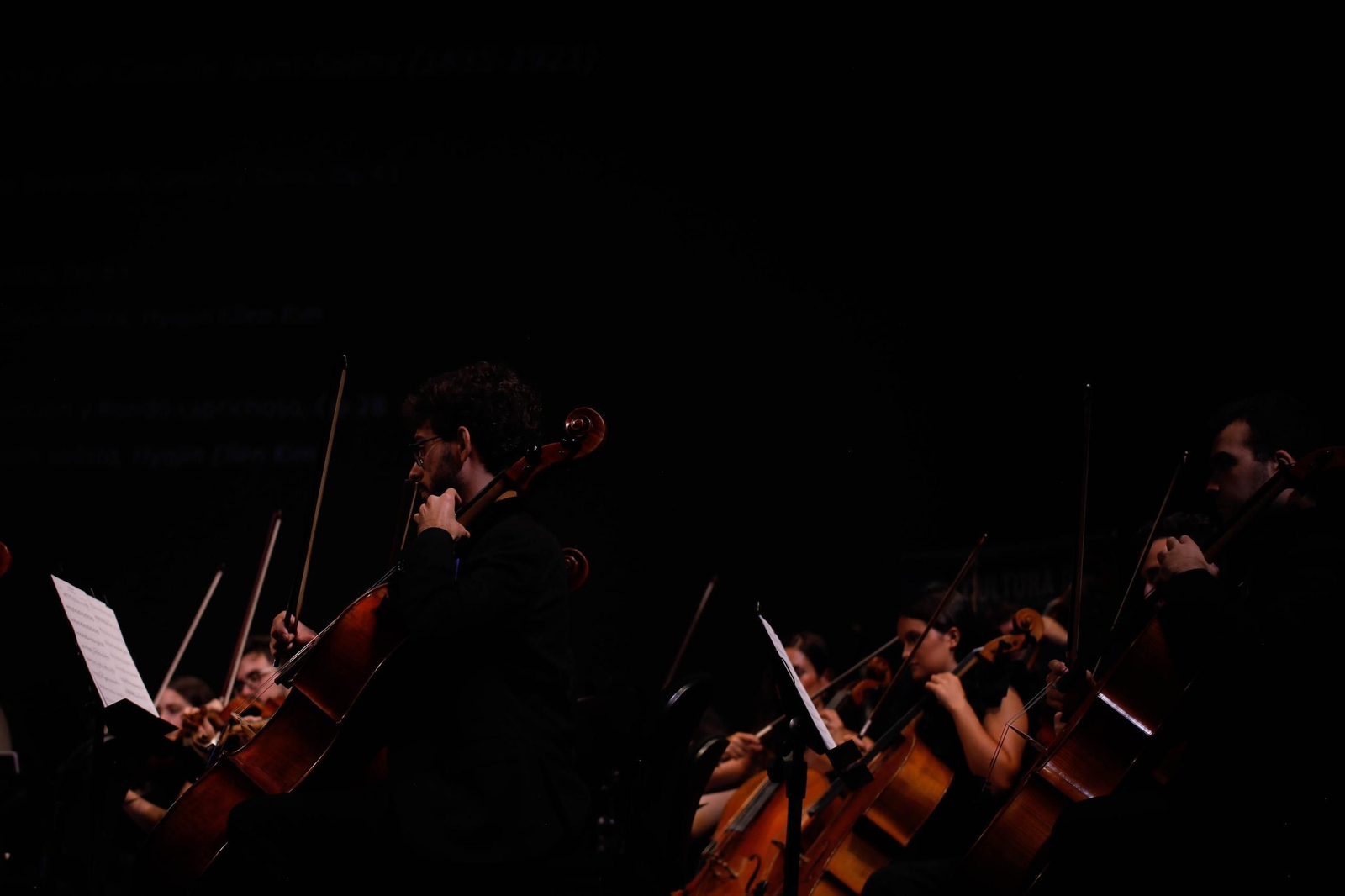 El concierto de la Orquesta de la UAL en el Auditorio Maestro Padilla, en imágenes