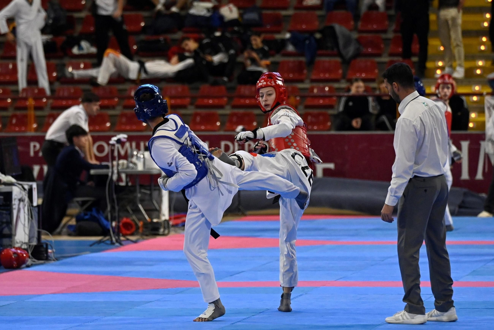Las mejores fotos del Open Internacional de Andalucía de taekwondo en Córdoba