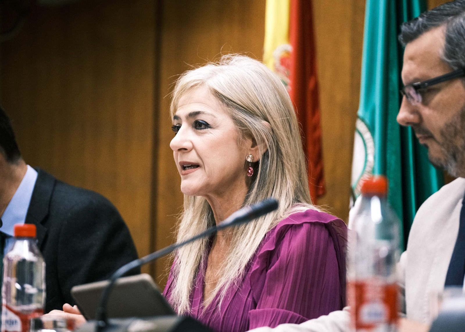 la consejera Patricia del Pozo en el Parlamento.
