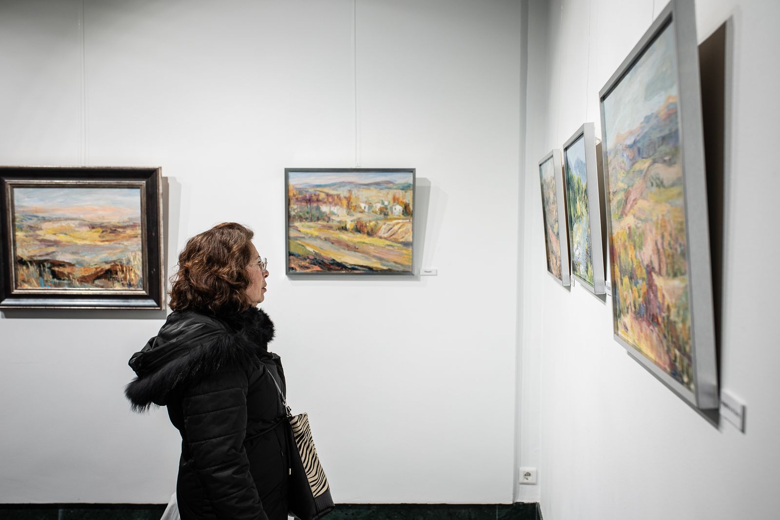 Imágenes de la inauguración de la exposción "Paisajes" de Pilar Barroso