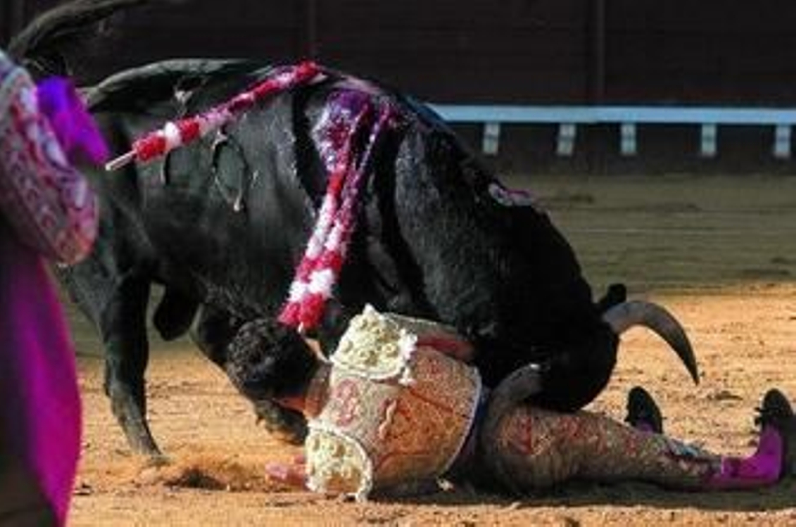 José Tomás fue corneado por el primer toro que lidió la tarde del domingo en el Puerto de Santa María.
