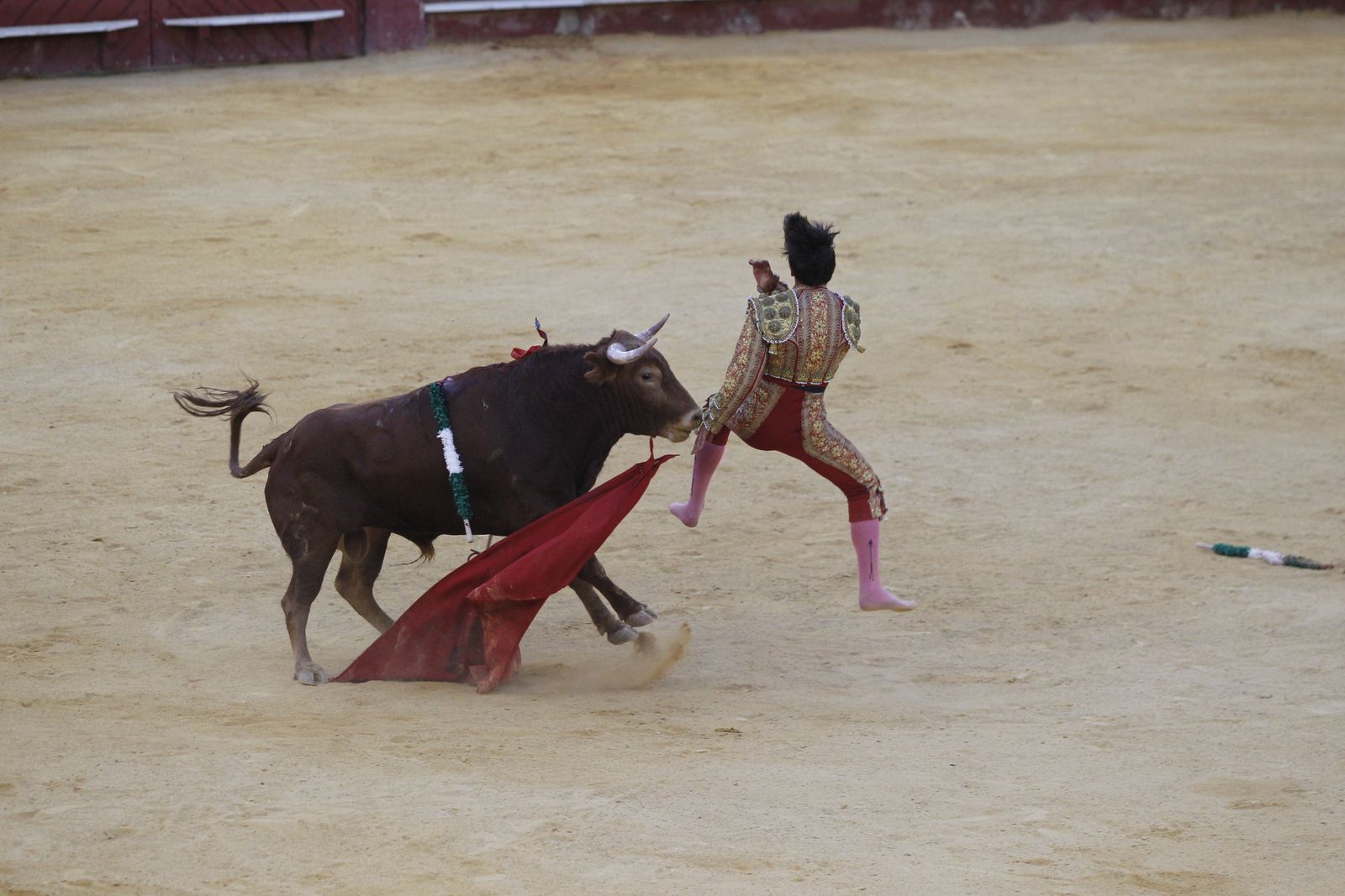 Fotogalería novillada Escuela Taurina de Almería. Feria de Almería 2019