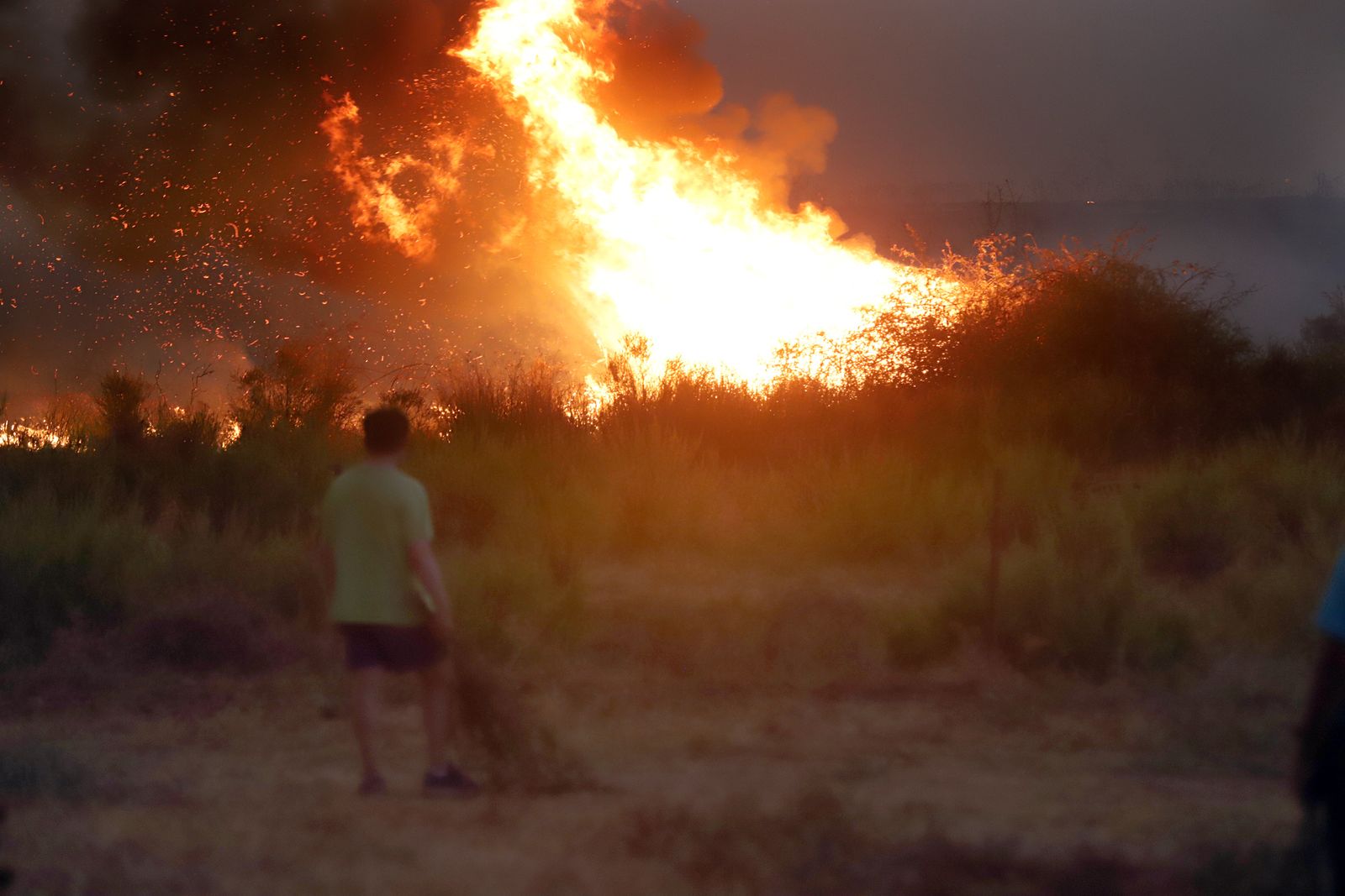 Imágenes del incendio en Almonaster La Real