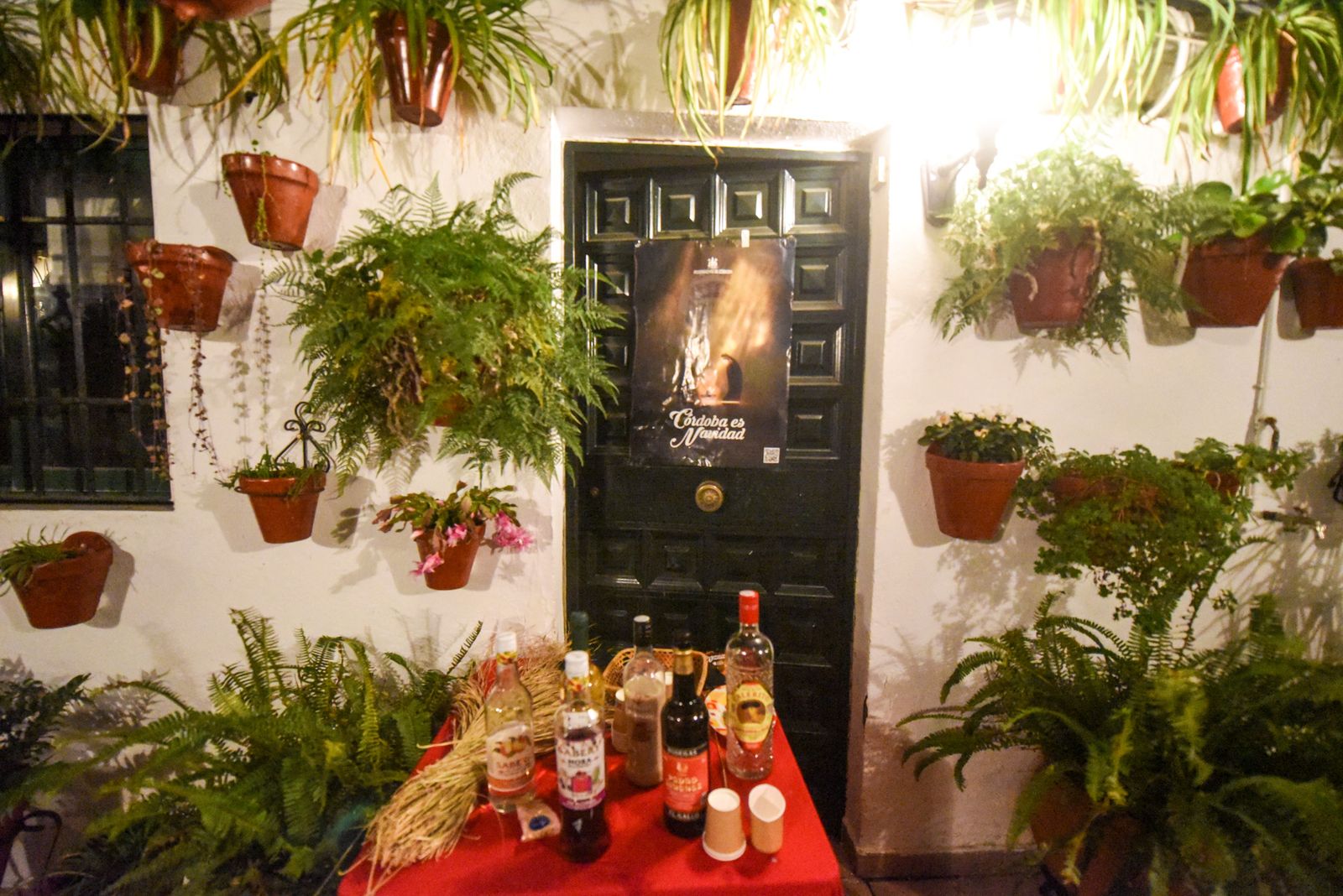 Las mejores fotos de la última jornada de la Navidad en los Patios