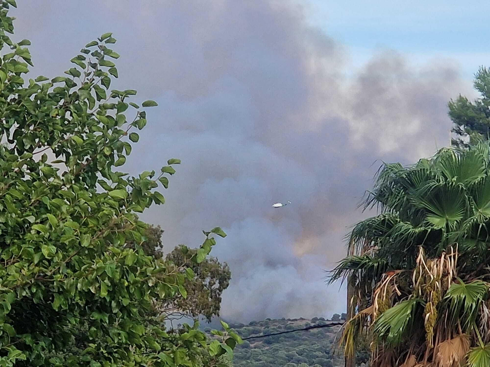 Las fotos del incendio entre las Pantallas y la Marchenilla, en Algeciras