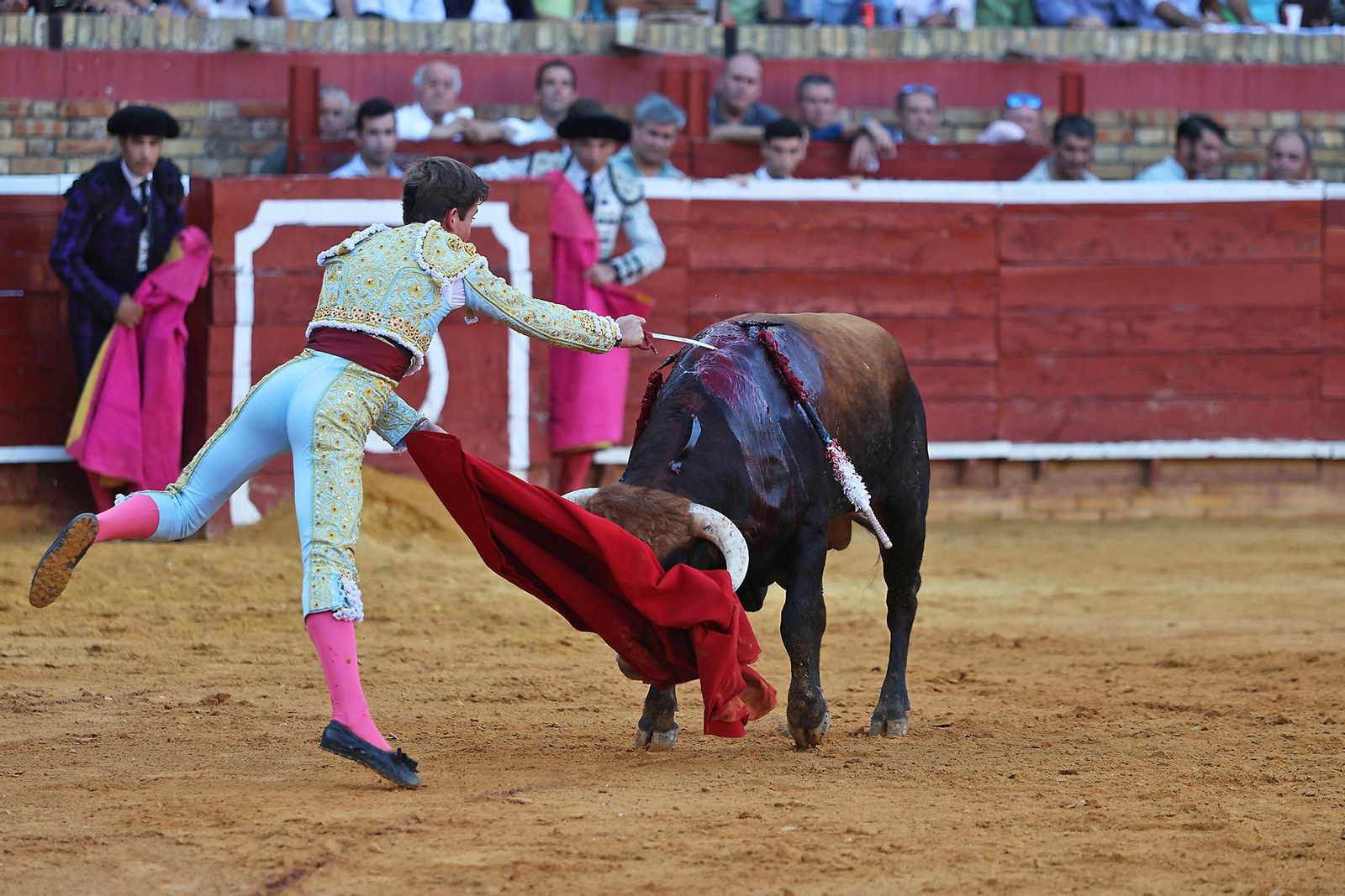 Toros La Merced 2024 Novillada con picadores(