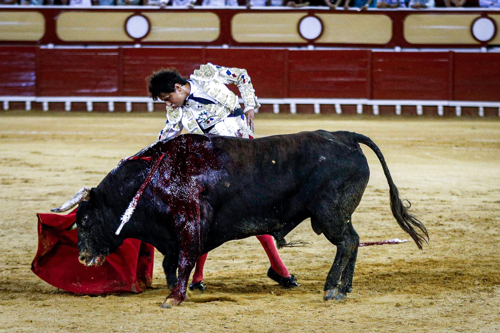 Imágenes de la corrida de toros en El Puerto: Manzanares, Roca Rey y Pablo Aguado